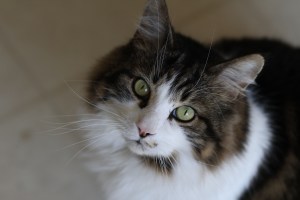 IMG_0094