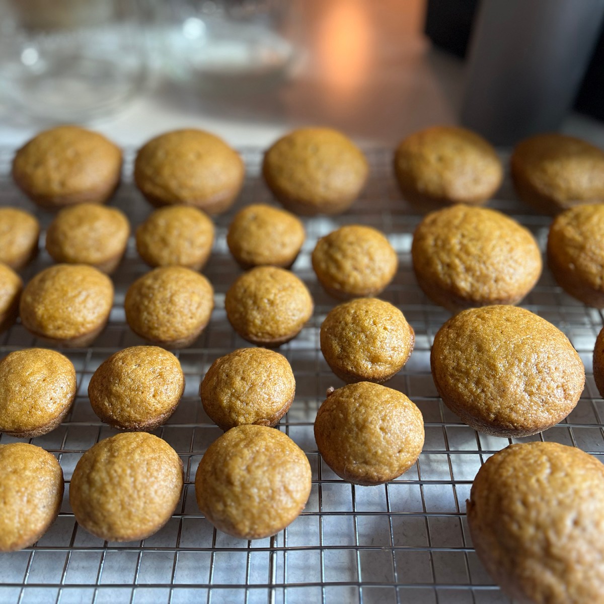 Pumpkin Muffins