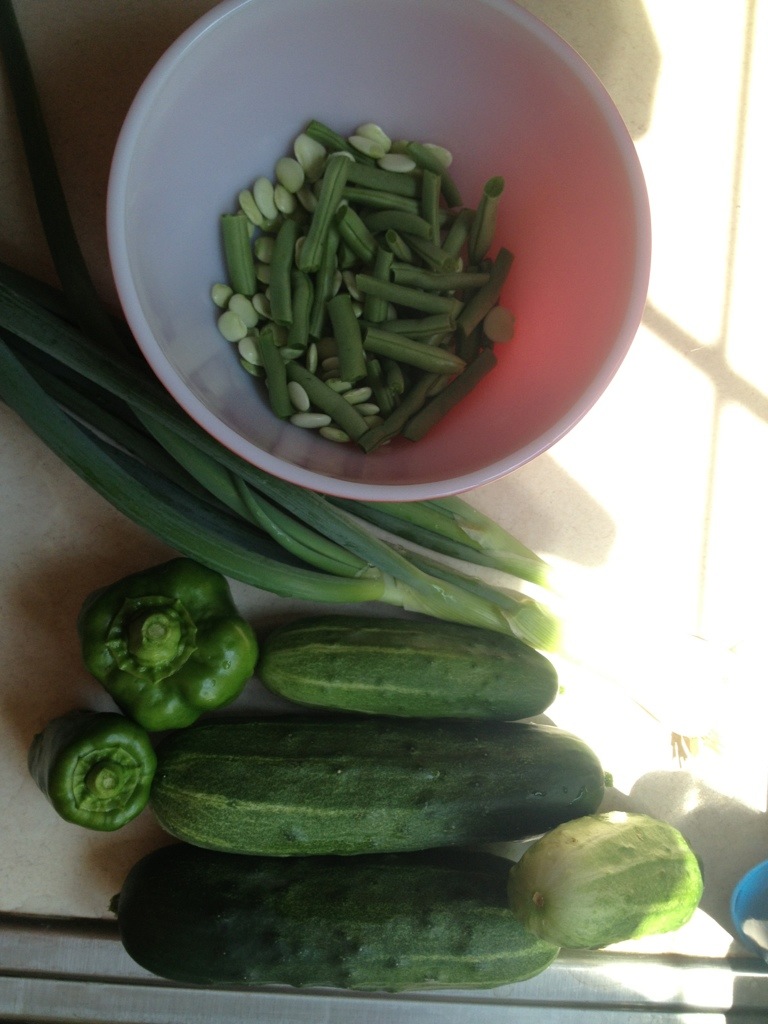 20130802-142227.jpg