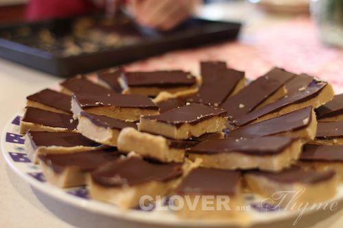 Chocolate Peanut Butter Bars