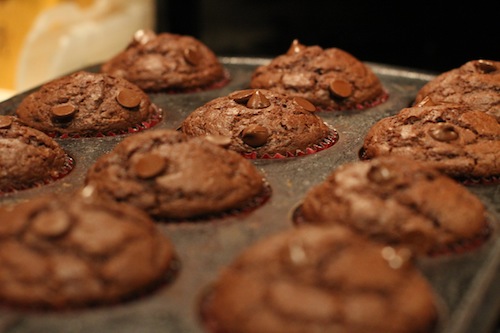 Mmm...Muffins!